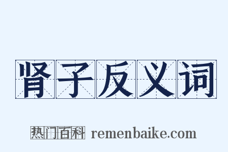 肾子反义词是什么意思的图片